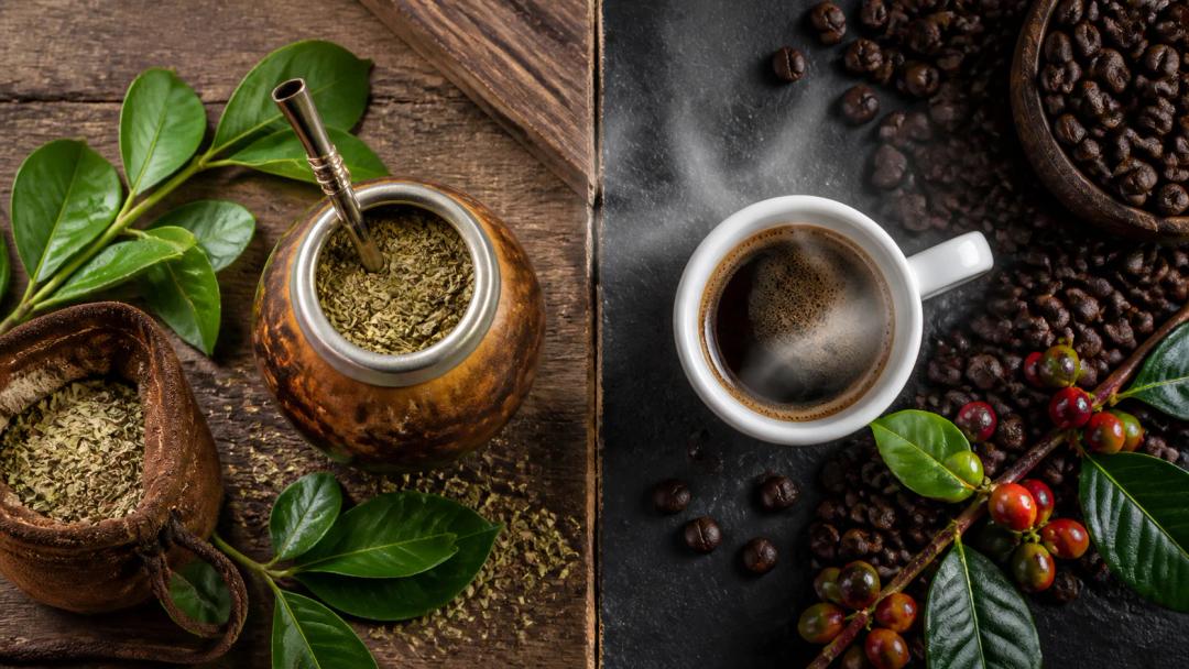 Yerba mate veselības ieguvumi