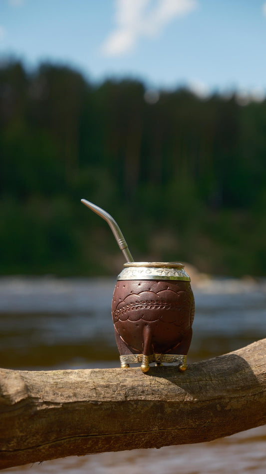 is yerba mate healthier than green tea