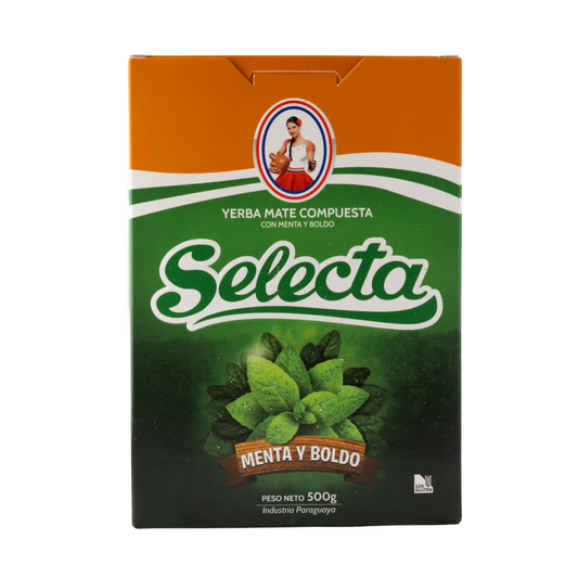 Selecta Menta y Boldo Yerba Mate